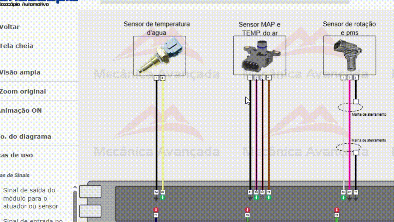 Demonstração do Zoom e Linhas Coloridas